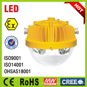 15W 25W Notfall Explosion Proof Plattform Licht (BC9302A BC9302B)